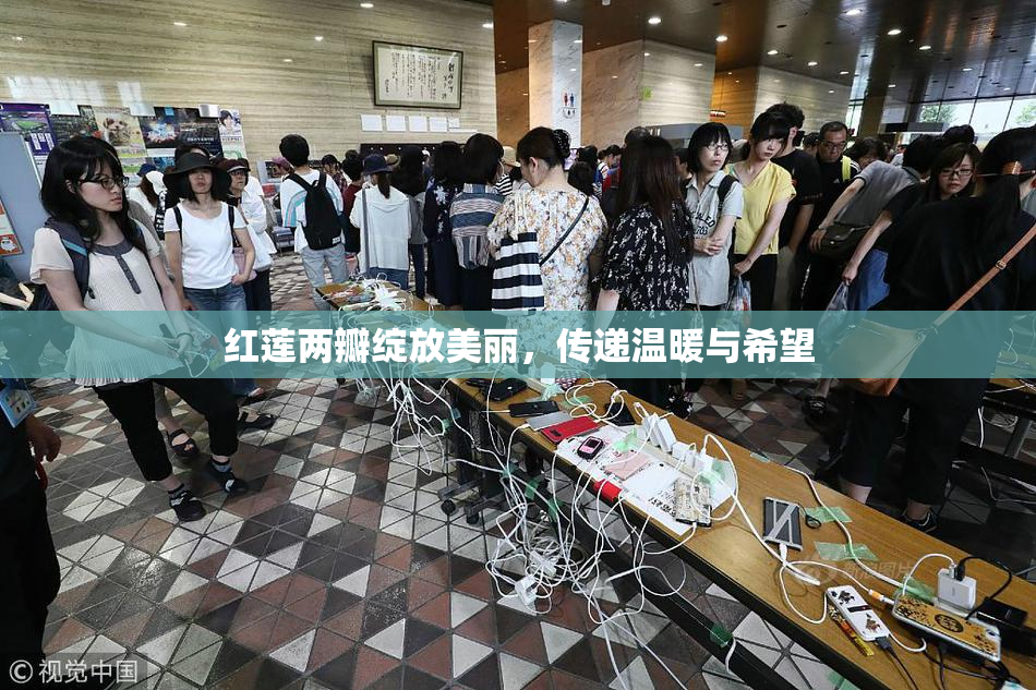 红莲两瓣绽放美丽，传递温暖与希望