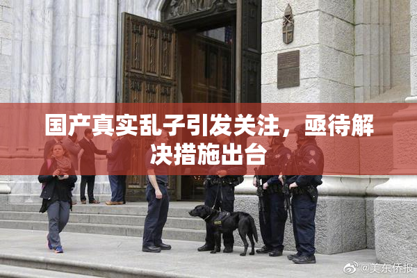 国产真实乱子引发关注，亟待解决措施出台