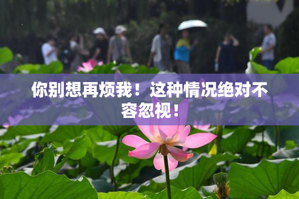 你别想再烦我！这种情况绝对不容忽视！