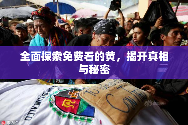 全面探索免费看的黄，揭开真相与秘密