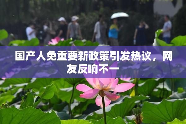 国产人免重要新政策引发热议，网友反响不一