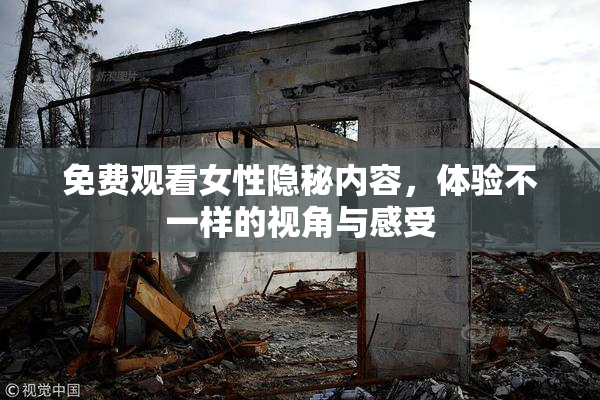 免费观看女性隐秘内容，体验不一样的视角与感受