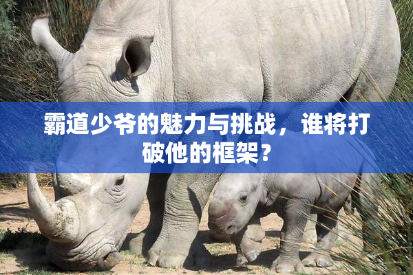 霸道少爷的魅力与挑战，谁将打破他的框架？