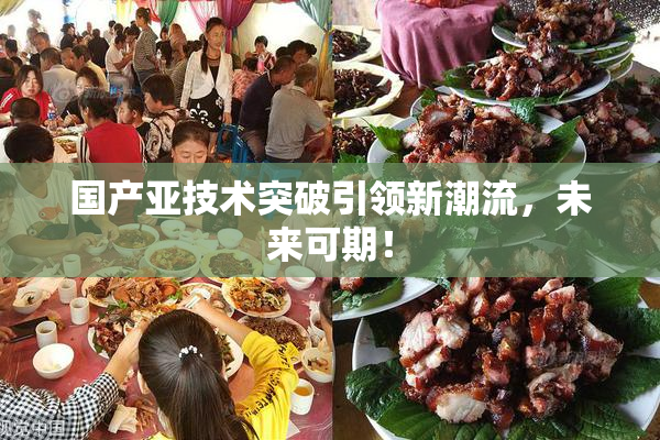 国产亚技术突破引领新潮流，未来可期！