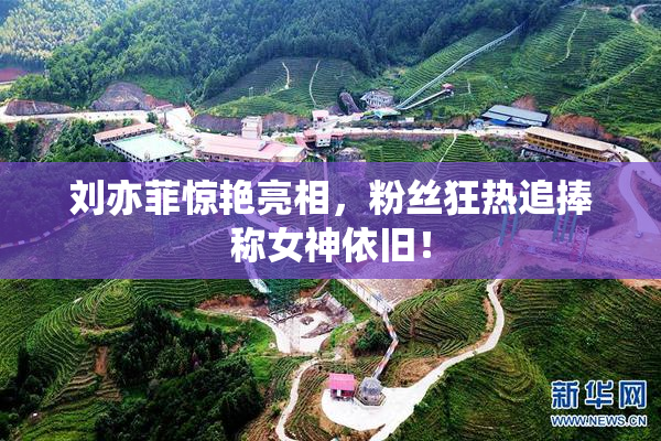 刘亦菲惊艳亮相，粉丝狂热追捧称女神依旧！