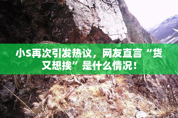 小S再次引发热议，网友直言“货又想挨”是什么情况！