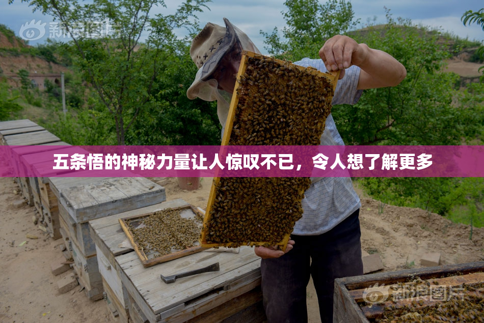 五条悟的神秘力量让人惊叹不已，令人想了解更多