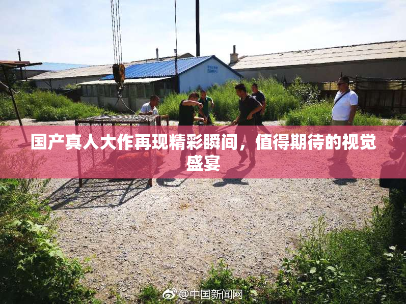 国产真人大作再现精彩瞬间，值得期待的视觉盛宴