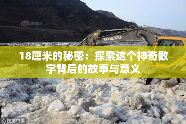 18厘米的秘密：探索这个神奇数字背后的故事与意义
