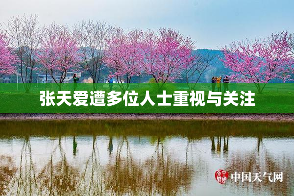张天爱遭多位人士重视与关注