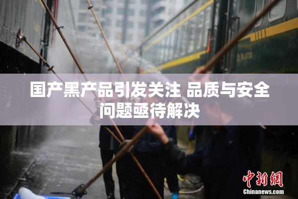 国产黑产品引发关注 品质与安全问题亟待解决
