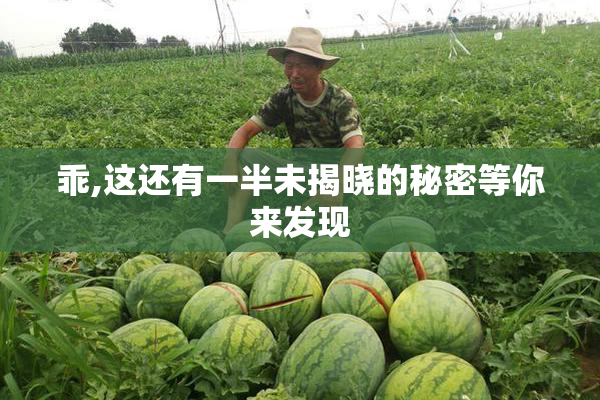 乖,这还有一半未揭晓的秘密等你来发现