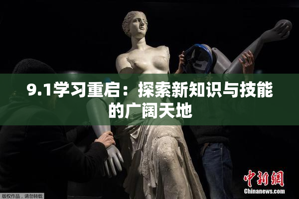 9.1学习重启：探索新知识与技能的广阔天地