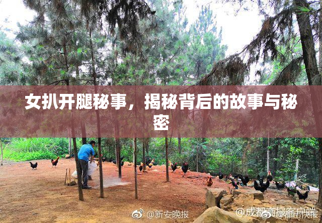 女扒开腿秘事，揭秘背后的故事与秘密