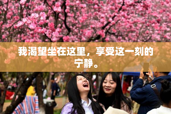 我渴望坐在这里，享受这一刻的宁静。