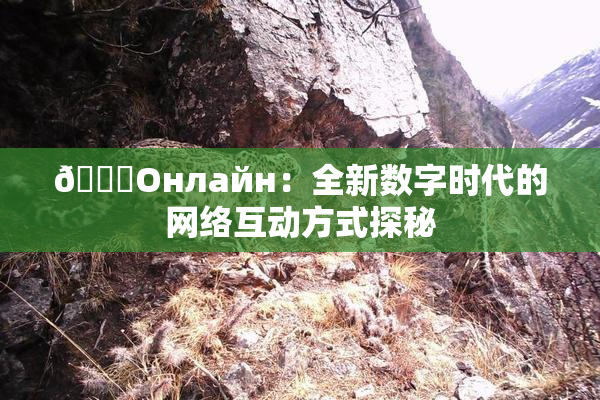 🐔Oнлайн：全新数字时代的网络互动方式探秘