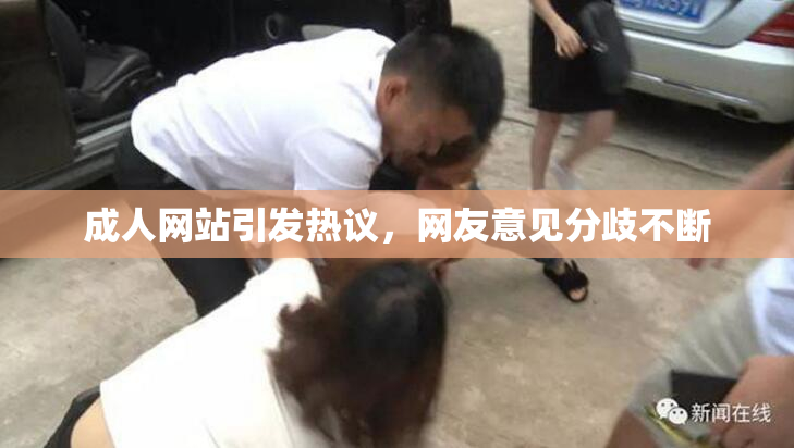 成人网站引发热议，网友意见分歧不断