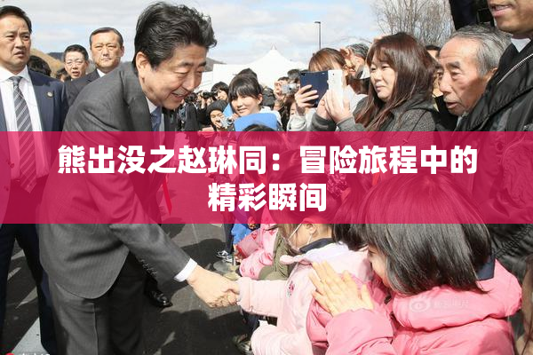 熊出没之赵琳同：冒险旅程中的精彩瞬间