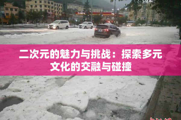 二次元的魅力与挑战：探索多元文化的交融与碰撞