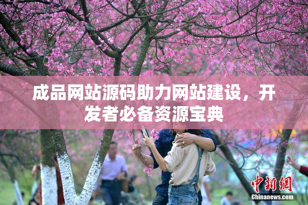 成品网站源码助力网站建设，开发者必备资源宝典