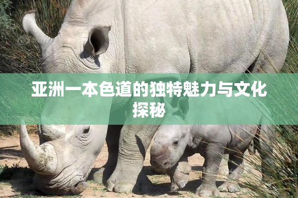 亚洲一本色道的独特魅力与文化探秘