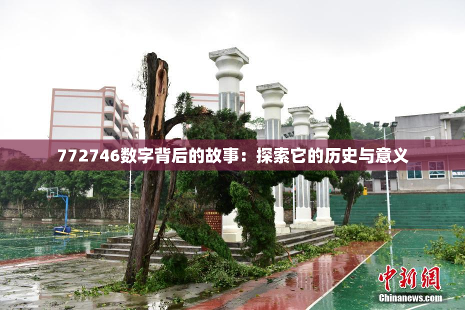 772746数字背后的故事：探索它的历史与意义