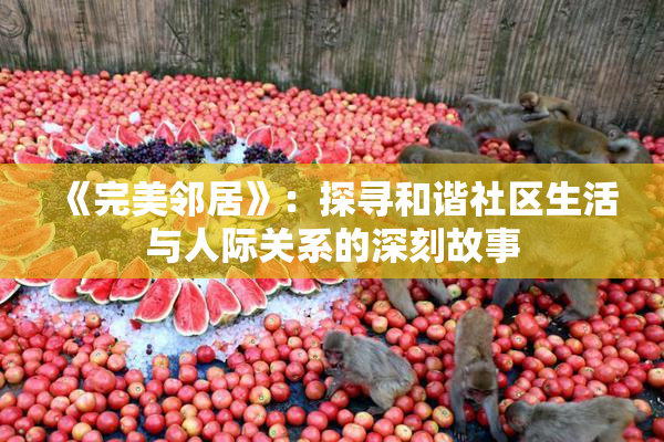 《完美邻居》：探寻和谐社区生活与人际关系的深刻故事