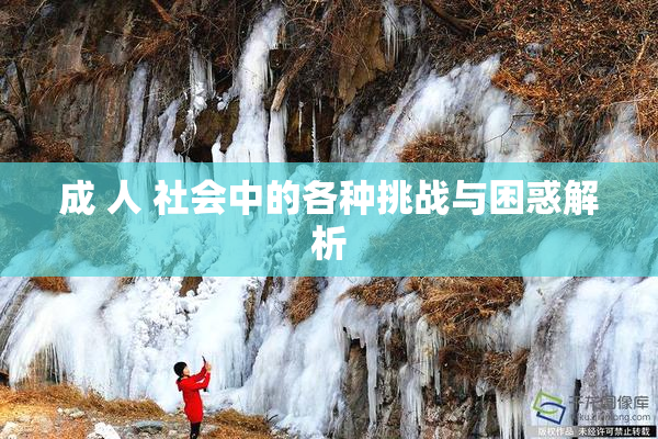 成 人 社会中的各种挑战与困惑解析
