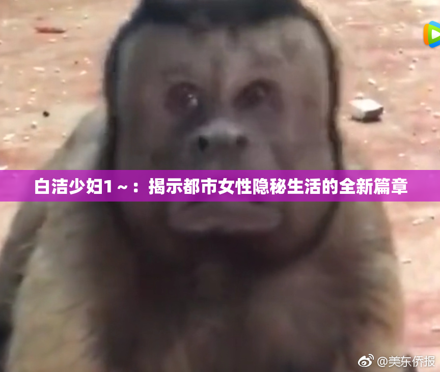 白洁少妇1～：揭示都市女性隐秘生活的全新篇章