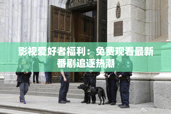 影视爱好者福利：免费观看最新番剧追逐热潮