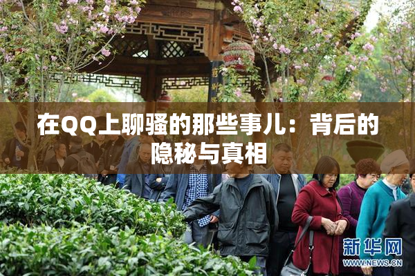 在QQ上聊骚的那些事儿：背后的隐秘与真相