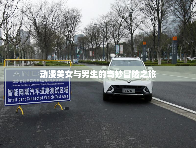 动漫美女与男生的奇妙冒险之旅