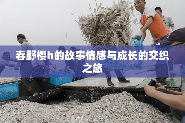 春野樱h的故事情感与成长的交织之旅