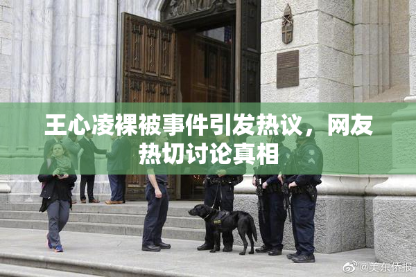 王心凌裸被事件引发热议，网友热切讨论真相