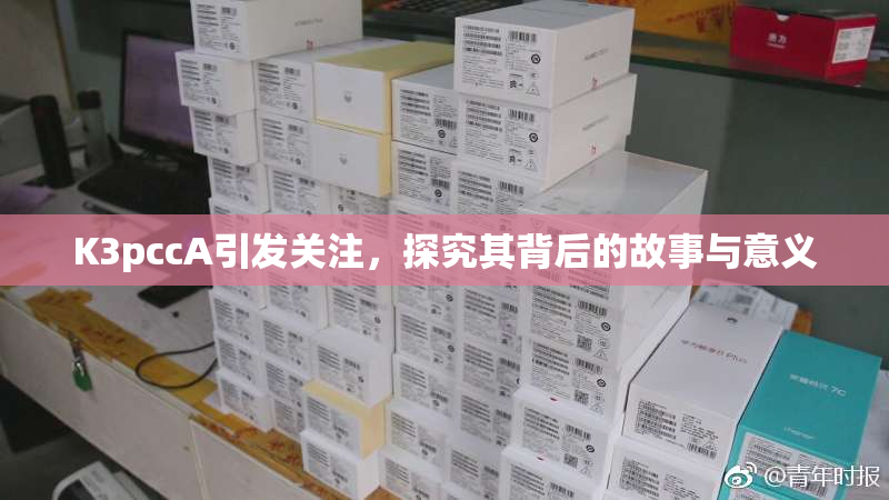 K3pccA引发关注，探究其背后的故事与意义