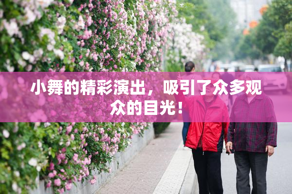 小舞的精彩演出，吸引了众多观众的目光！