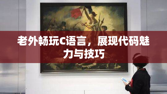 老外畅玩C语言，展现代码魅力与技巧