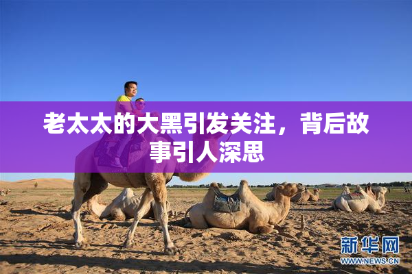 老太太的大黑引发关注，背后故事引人深思