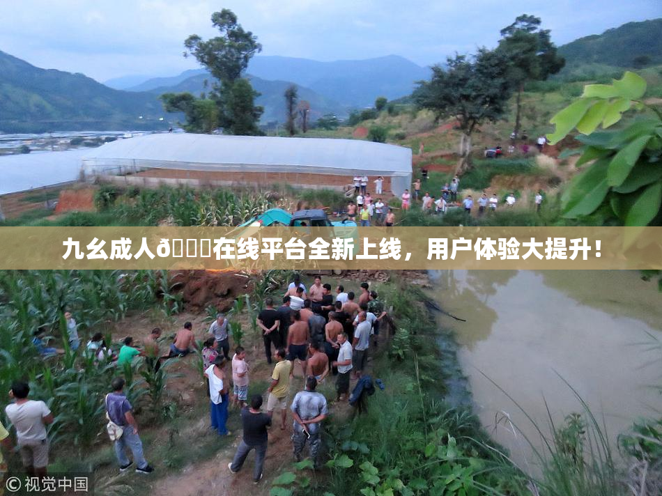 九幺成人🔞在线平台全新上线，用户体验大提升！