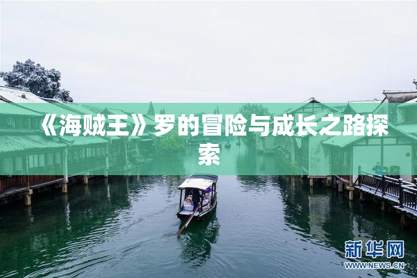 《海贼王》罗的冒险与成长之路探索