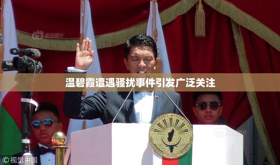 温碧霞遭遇骚扰事件引发广泛关注
