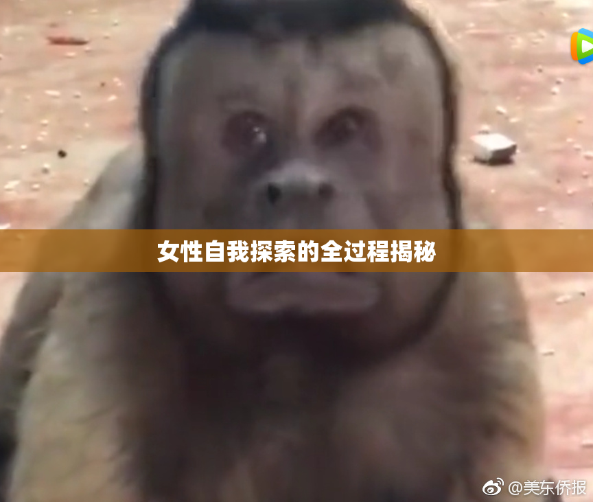 女性自我探索的全过程揭秘