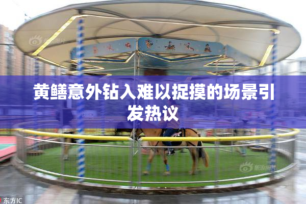 黄鳝意外钻入难以捉摸的场景引发热议