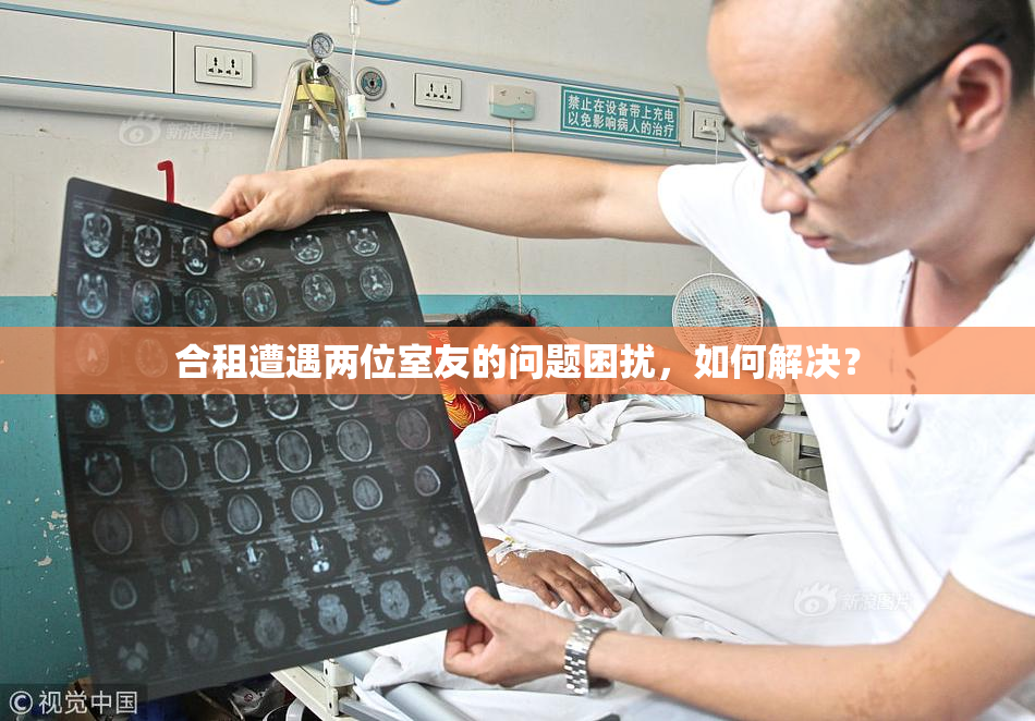 合租遭遇两位室友的问题困扰，如何解决？