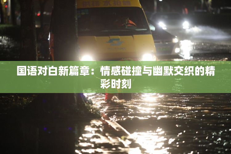 国语对白新篇章：情感碰撞与幽默交织的精彩时刻