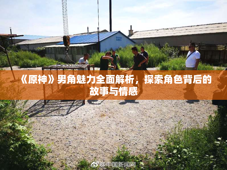 《原神》男角魅力全面解析，探索角色背后的故事与情感