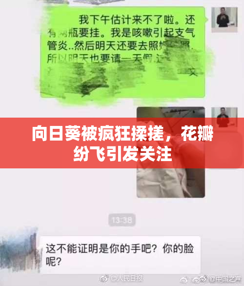 向日葵被疯狂揉搓，花瓣纷飞引发关注