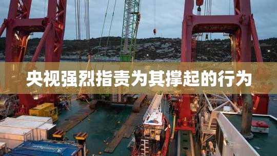央视强烈指责为其撑起的行为