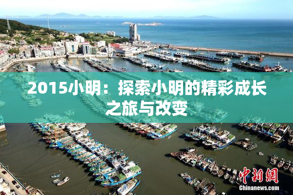 2015小明：探索小明的精彩成长之旅与改变