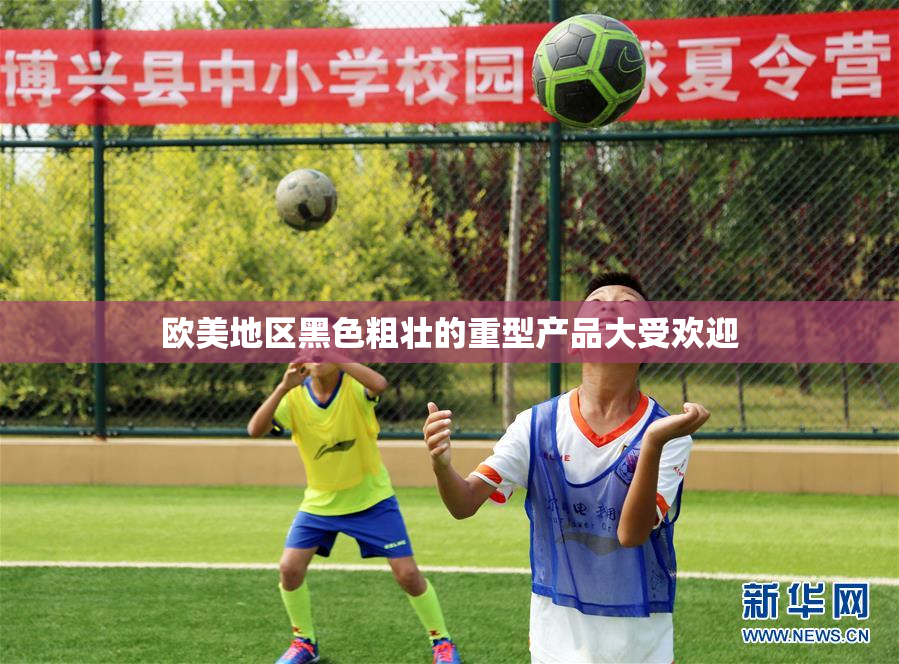 欧美地区黑色粗壮的重型产品大受欢迎